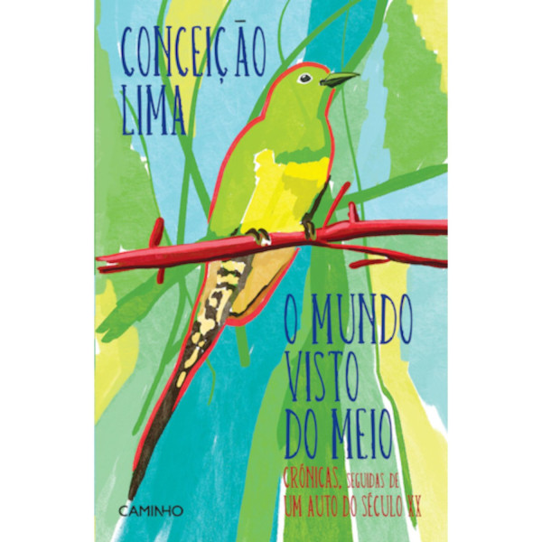 O MUNDO VISTO DO MEIO