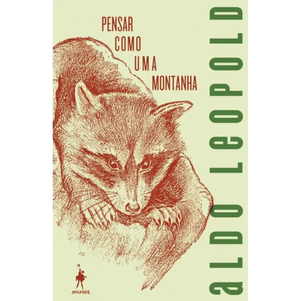 PENSAR COMO UMA MONTANHA