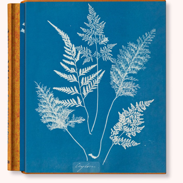 ANNA ATKINS. CYANOTYPES