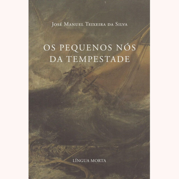 OS PEQUENOS NÓS DA TEMPESTADE